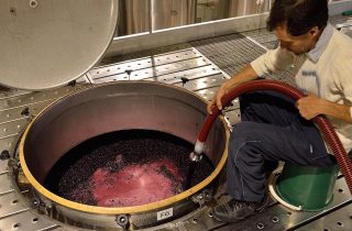 Процесс мацерации при производстве красных вин фото 9