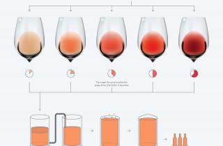 Способ короткой мацерации – Производство розовых вин фото 9