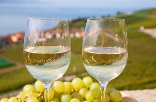 Типи білих вин та їх відмінності фото 2