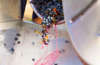 Как правильно выбрать дробилку для винограда в Украине фото 1