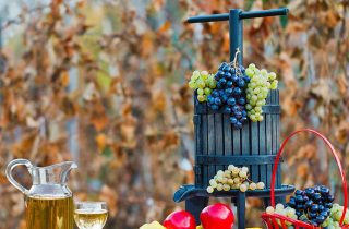 Обладнання для виробництва вина: все, що потрібно виноробу-початківцю фото 10